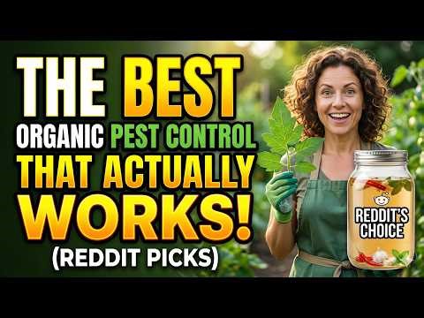 The Best Organic Pest Control That Actually Works Reddit Picks