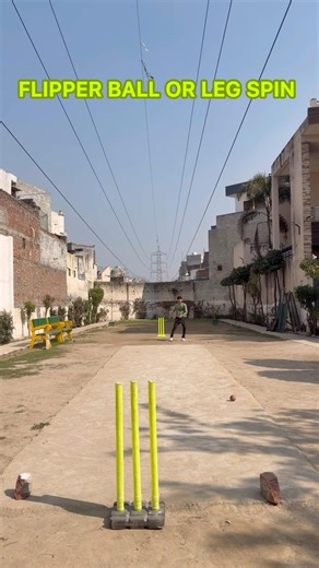 Flipper ball or Leg spin #shorts #cricket #bowling