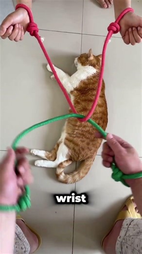 Brilliant trick for untying ropes without scissors!
