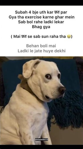 Behan #memes #popular #viral #funnymemes #tweetreels #behan #ladki