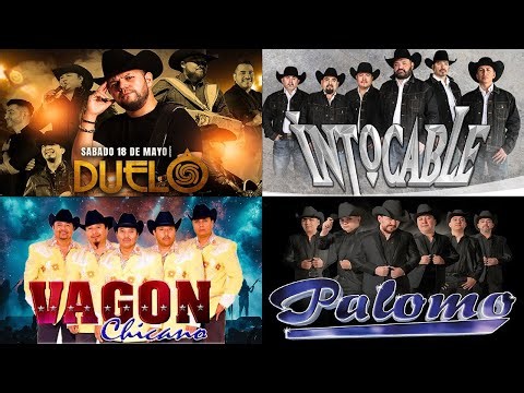 Mix Pesado, Intocable, Palomo, Duelo, Vagón Chicano - Puros Corridos Pesados pa pistear 2025