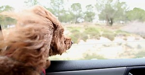 Video by Coverr on Pexels