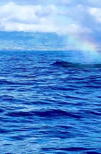 9.5K views · 179 reactions | Steve Backshall on Reels | Facebook