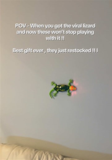 Fun with the Wall Climbing RC Gecko Toy