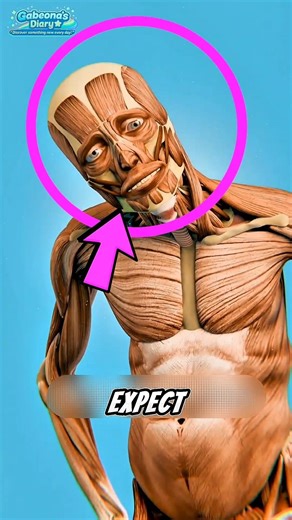 What If Your Skin Disappeared? 😨