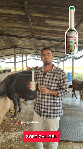 soft cal gel skey ec irritation free