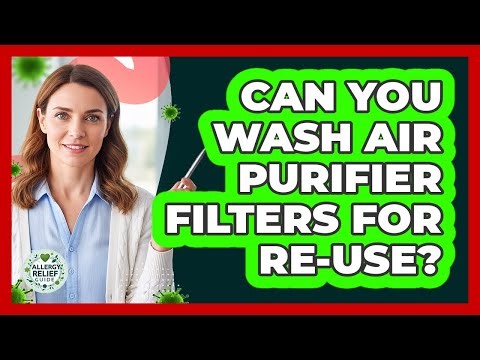 Can You Wash Air Purifier Filters For Re-Use?