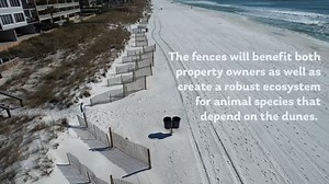 4.3K views · 120 reactions | Okaloosa County has successfully...