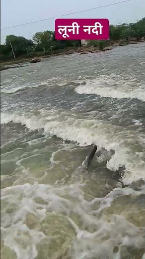 लूनी नदी कितनी तेज चल रही ।। लूनी नदी लाइव वीडियो ।। Luni river viral video