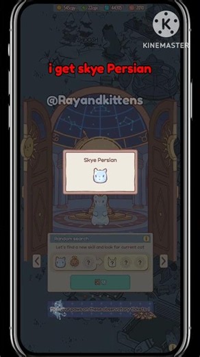Finally got the Skye Persian! so cute ✨😻 #catsandsoup