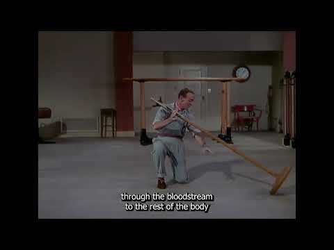 CC Cycle 3 Week 11 Science "The Endocrine System" 5th Edition