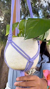 145K views · 3.5K reactions | Tutorial porta macetas para principiantes | Carey macrame | Facebook