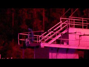 The Bagging of the Fish - Disney's Fantasmic