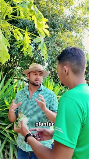 Cresce rapidinhoo 👨‍🦳🥑 #shorts #humor #memes #forthjardim