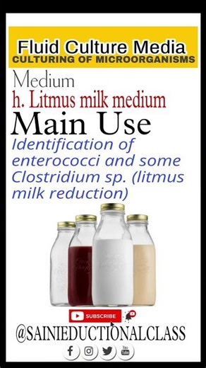 Litmus milk medium || Clinical Microbiology || Fluid Culture Media || 👌 ‪@SainiEducationalClass‬