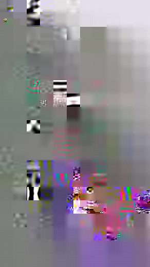 The team here at Shimano testing out the new 4000 Shimano Stradic FM paired with the Extraction rods! This combo is tough, well priced and an exceptionally built. Available NOW, check it out at your local Tackle World store. *please call ahead before heading into your local! #shimanofishing #shimanostradic #fishingreel #shimano | Tackle World Australia