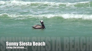 5.8K views · 403 reactions | FRIDAY FREEDOM - If you're in Sarasota...