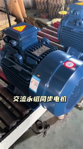 交流永磁同步电动机