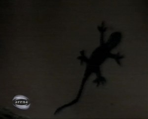 2002 promo for Cold Feet : Free Download, Borrow, and Streaming : Internet Archive