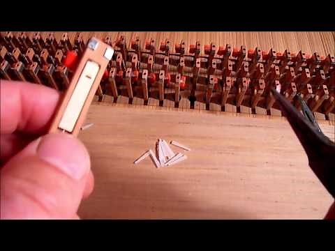 Harpsichord Plectrum Replacement 2020