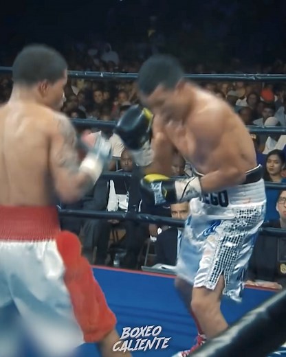 BRUTALES KO DE GERVONTA DAVIS 🤯🥊 | Boxeo Caliente