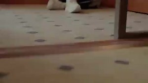 ♡XTEP Spokesperson #DylanWang Instagram Update [070224] ©️ #WangHedi #王鹤棣 | DyShen And Asian Stars Update