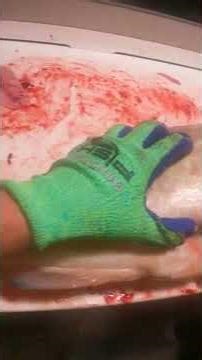 Fileting 200 Pounds of Cobia, Grouper & Snapper in 60 Seconds!!