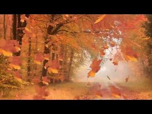 Abstract Background Autumn Mood - Free Footages