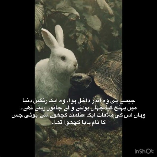 The Rabbit Magical Quest:The Search for the Lost Bird.This keeps that sense of wonder and adventure.