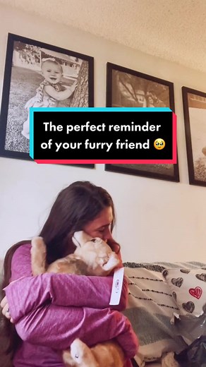 A Cuddle Clone is the perfect furrever reminder of your furry friend. 🥹❤️ | 🎥: @Linds 🦋 | #cuddleclones #customstuffedanimal #dog #dogs #dogtok #puppytiktok #animalsoftiktok #dogsoftiktok #tiktokmademebuyit #petlover #giftideasforpetlovers #doglover #doglovers #doglife #cuteanimals #cutedog #rainbowbridge #petloss #grief #griefjourney #griefandloss #unconditionallove #petmemorial #customersmostloved #filter #outerbanks