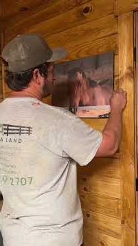 Setting up & decorating the tack room! #diy #horsebarn #barnbuild