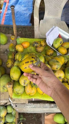 മാങ്ങ മുറിക്കാതെ തന്നെ അകത്ത് പുഴു ഉണ്ടോ എന്ന് എങ്ങനെ നോക്കാം