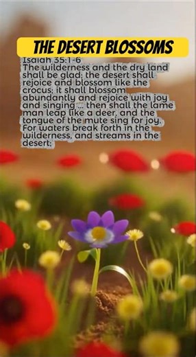 🏜 The Desert Blossoms in 10 Seconds (Isaiah 35:1-6)