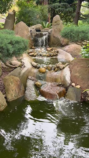 1.7K views · 15 reactions | Did you know we are now offering Forest...