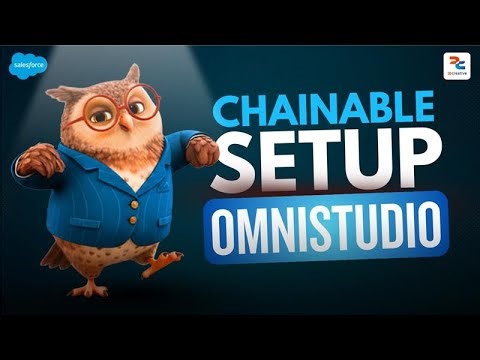 Chainable Setup Omnistudio -Step by Step Guide