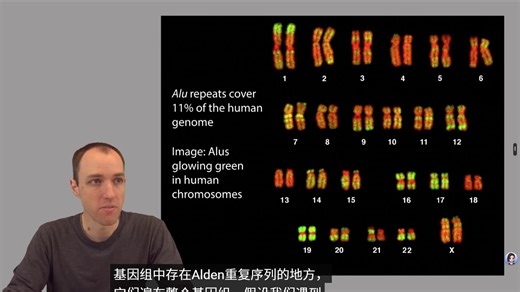 Algorithms for DNA Sequencing1：Diversion: Repetitive elements（21）