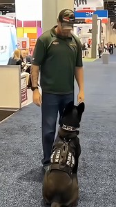 3.7K views · 230 reactions | Trainer dog military ❤️❤️ #trending #dog #military #hundetraining #hundevideos #fyp #dogtactical #k9training | K9 highlights | Facebook