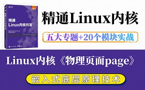 【深入理解Linux内核】Linux内核《物理页面page》|内存调优/文件系统/进程管理/设备驱动/网络协议栈