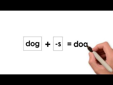 Video 24: Base Word, Prefix, Suffix (REL Southeast)