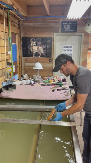 38 reactions · 3 comments | Oak Wood Grain Hydrographic Film used on forearm #youtubeshort #shortvideo #shortsreels #selfmade #youtubechannel #hydrographicfilm #sexy #shorts #shortsvideo #tryit #stock #hydrodip #hydrodipping #smallbusinessbigdreams #smallbiz | Angert's Hydrographics | Facebook