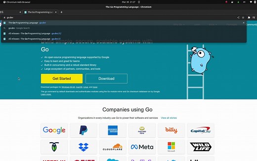 Linux下安装Golang