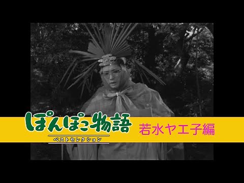 『ぽんぽこ物語 ベストセレクション』若水ヤエ子編