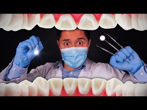 ASMR | FULLY Detailed Dental Exam & Teeth Cleaning
