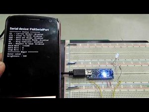 FAY Serial Terminal Demonstration