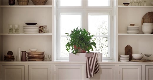 Ces 5 plantes sont les meilleures pour absorber toute l'humidité de votre intérieur