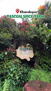 36K views · 240 reactions | Discover the vibrant world of Pascoal...