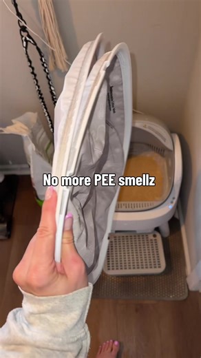 Effective Litter Box Cleaning Hacks for Pet Owners