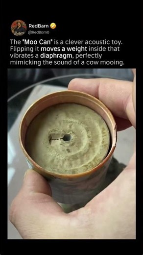 The Physics of a Moo Can