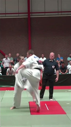 🇳🇱 Mitchell de Bont WRECKED Ballsy Yellow & Green Belts #headkickko #karate