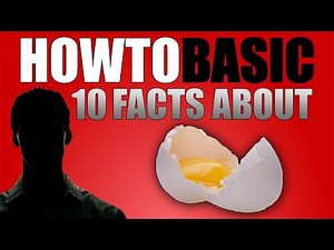 12 FACTS ABOUT HOWTOBASIC